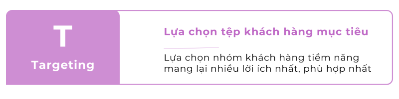 lựa chọn tệp khách hàng mục tiêu trong STP là gì